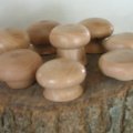 button mushrooms (1)