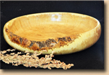 Honey Locust Burl