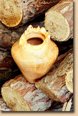 Maple Burl Vase